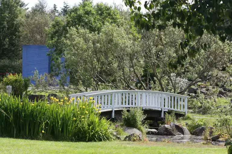 A bridge in the botanical garden