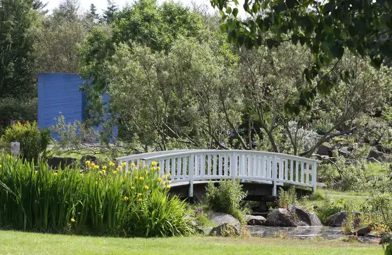A bridge in the botanical garden